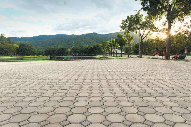 Best Local Driveway Pavers  in Mentone, CA